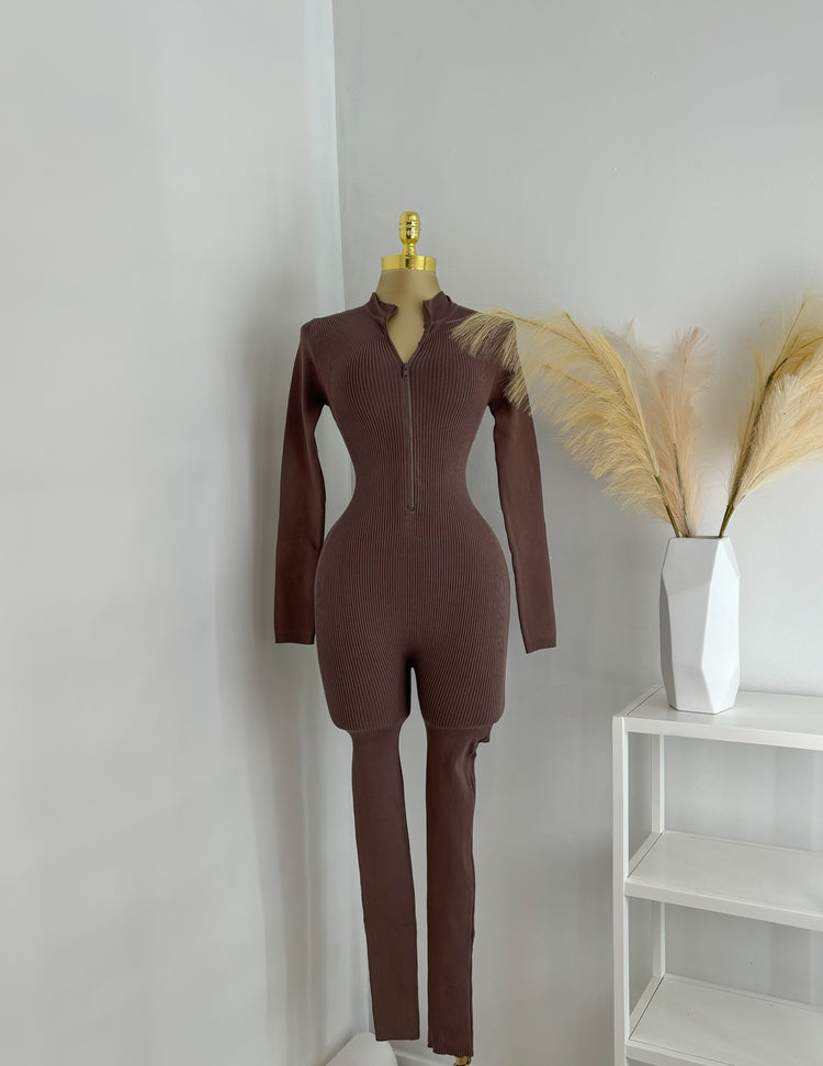 Keeper Zipper Jumpsuit In Brown