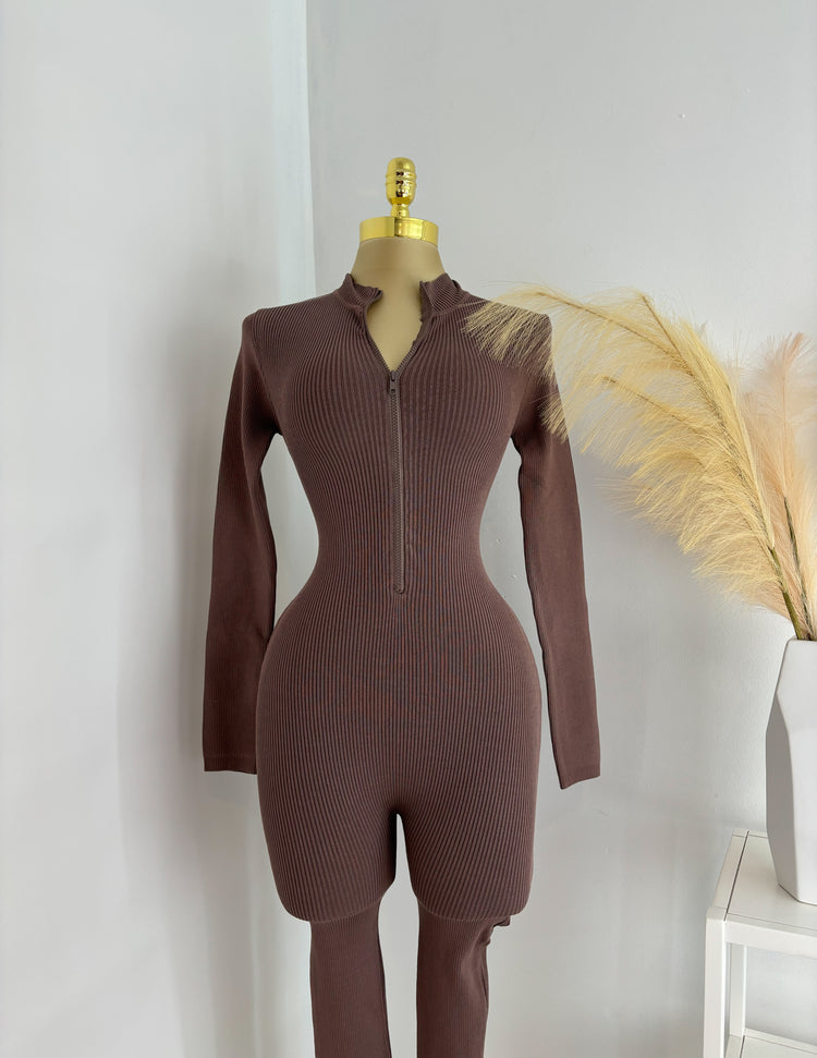 Keeper Zipper Jumpsuit In Brown